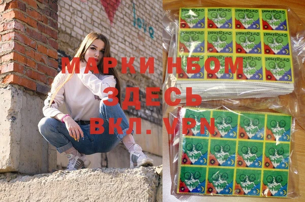 индика Сафоново