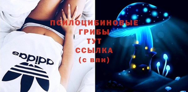 СК Семёнов