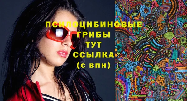 индика Сафоново