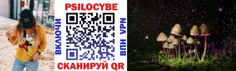 Купить закладки  Чердынь  Галлюциногенные грибы Cubensis 